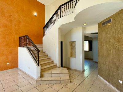 3875aace-2509-4718-a4c0-60f869aa3010