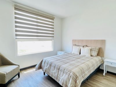 8e822508-bb49-4529-9e52-e167ff9d3363