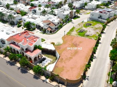 WhatsApp Image 2022-08-17 at 1.58.25 PM