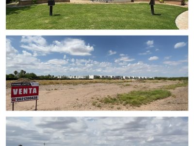 WhatsApp Image 2022-12-08 at 07.02.00