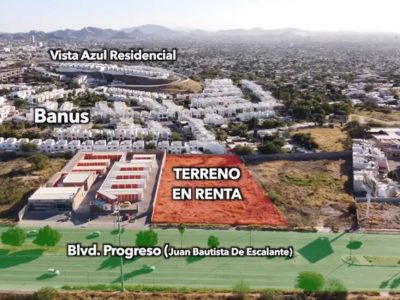 WhatsApp Image 2022-12-08 at 07.02.00