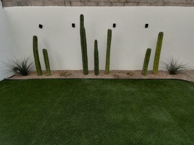 WhatsApp Image 2023-01-11 at 21.53.52(4)