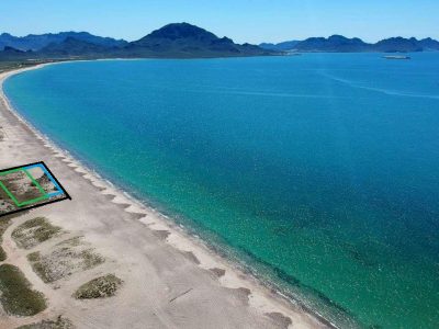 WhatsApp Image 2023-01-20 at 13.15.39(2)