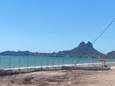 WhatsApp Image 2023-01-20 at 13.16.41