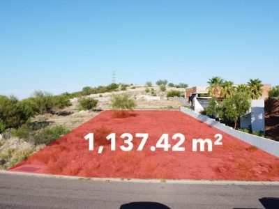 WhatsApp Image 2023-02-08 at 1.35.23 PM (2)