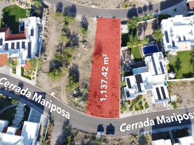 WhatsApp Image 2023-02-08 at 1.35.23 PM (3)