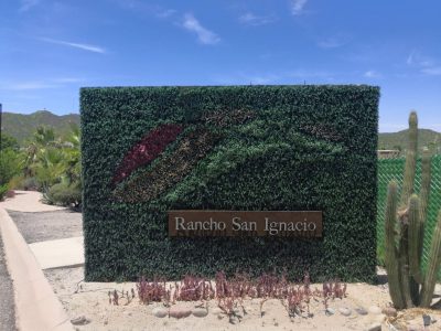 WhatsApp Image 2023-02-08 at 1.35.24 PM (2)