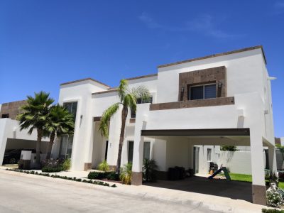 WhatsApp Image 2023-02-08 at 1.35.45 PM (3)