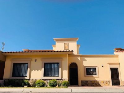 WhatsApp Image 2023-02-08 at 7.52.28 PM