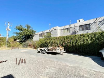 WhatsApp Image 2023-02-17 at 11.55.51 AM (2)