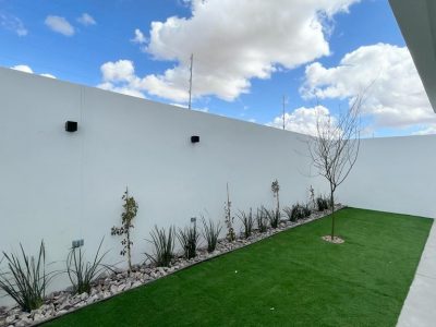 WhatsApp Image 2023-02-23 at 1.15.54 PM