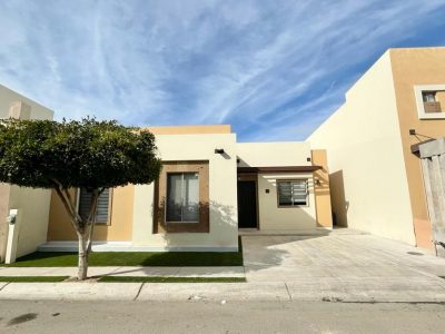 WhatsApp Image 2023-02-23 at 11.33.26 AM