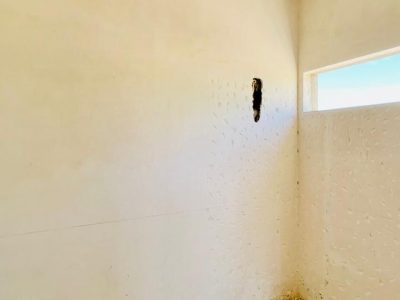 WhatsApp Image 2023-05-16 at 11.06.40 AM (2)