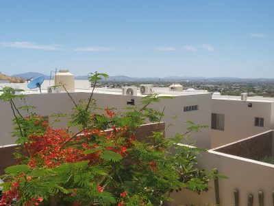 WhatsApp Image 2023-05-25 at 8.50.05 AM (2)