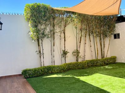 WhatsApp Image 2023-05-29 at 10.53.26 AM (2)