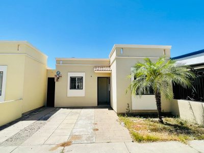 WhatsApp Image 2023-06-01 at 7.49.44 PM (1)