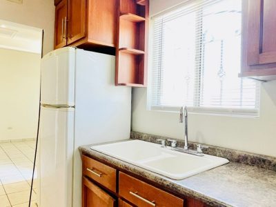 WhatsApp Image 2023-06-01 at 7.49.45 PM (3)