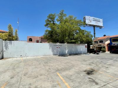 WhatsApp Image 2023-07-19 at 12.05.15 PM (3)