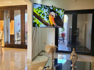 ae77003a-6051-42e0-8425-d95e5f9f70a2